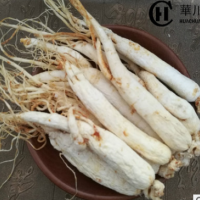 云南白人參500g 無(wú)硫全須泡酒優(yōu)質(zhì)精選原皮白人參基地直銷(xiāo)