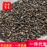 進口墨西哥特級奇亞籽奇雅籽奇異籽chia seed 貨源充足