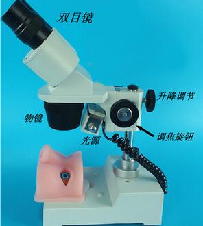 眼科顯微手術(shù)訓(xùn)練模擬器