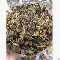 廠家直銷特價批發(fā)金線蓮養(yǎng)肝茶 罐裝