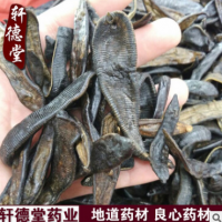 x75廠家產地直銷批發中藥材 清水大水蛭 加工超細粉 精細粉/水蛭