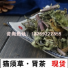 貓須草批發16年新貨云南貓須草腎茶化石草養生茶祛痛風茶產地直供