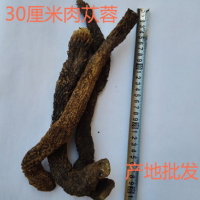 阿拉善肉蓯蓉30cm1000G產地批發 大蕓中草藥材配藥抓藥配售鎖陽