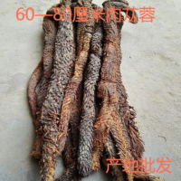 肉蓯蓉500克60—80cm內蒙古阿拉善特級大蕓泡酒料泡茶代切片中藥