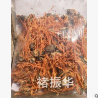 蛹蟲草菌絲體純蠶蛹蟲草活體接種250克包郵 蠶蛹粉