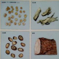 供應(yīng) 中藥材 原產(chǎn)地道地藥材 車前子25元每公斤 各種中藥材批發(fā)零售