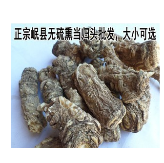 正宗岷縣當歸頭批發無硫全干另有當歸片黃芪片黨參原產地直銷特價