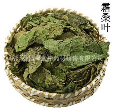 中藥材 青桑葉 霜桑葉 桑葉 粉 茶 配側柏葉 苦丁茶