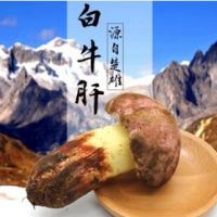 白蔥菌批發 特級云南白蔥菌 野生黃牛肝菌 白蔥凍品 現貨