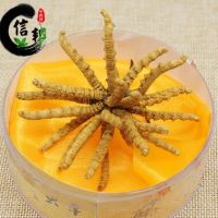 冬蟲夏草 4000條 選貨足干 產(chǎn)地西藏那曲 假一罰萬