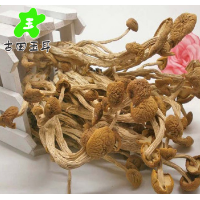 廠家直銷 特級天然茶樹菇冰菇 高品質古田特級茶薪菇