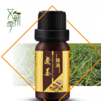 老姜精油植物香薰復方精油10ml 放松活絡身體按摩刮痧油 老姜油