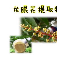 龍眼花提取物 10:1龍眼花提取物 1KG起售