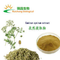 孜然提取物信息 孜然浸膏粉 植物提取物 孜然粉 現貨包郵