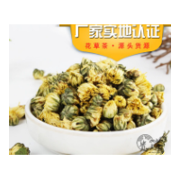 批發供應 胎菊 胎菊王 桐鄉胎菊 杭白菊 菊花茶 量大從優保證質量