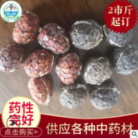 廠家產(chǎn)地直銷砂仁毛砂仁中藥材藥食同源散裝批發(fā)代發(fā)