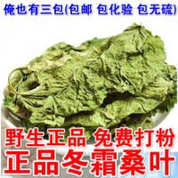 干桑葉純農產品材霜桑葉天然冬桑葉500克包郵可搭桑葉茶