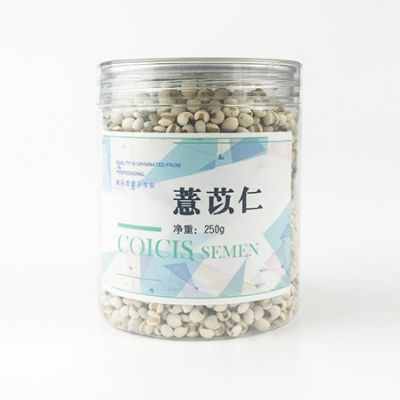 薏苡仁（青花系列）