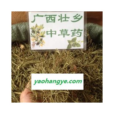 廣西壯鄉(xiāng)中草藥 野生 正品 含量高 伸筋草 馬尾伸筋草 產(chǎn)地 廣西柳州市三江侗族自治縣