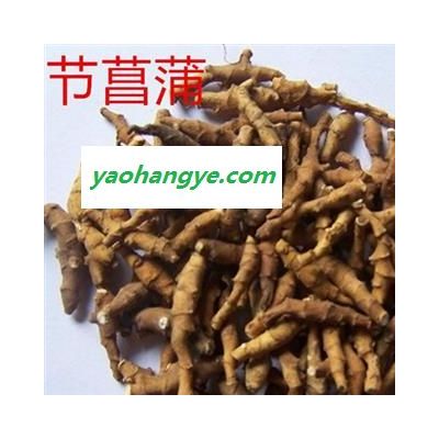 靈吉藥業(yè)   九節(jié)菖蒲  節(jié)菖蒲  菊形雙瓶梅   太原菖  京菖蒲  陜西菖  節(jié)菖蒲  小菖蒲 優(yōu)質(zhì)正品 地道藥材 貨真價(jià)實(shí)   批發(fā)各種規(guī)格中藥材 花茶 礦石  野生冷背中藥材