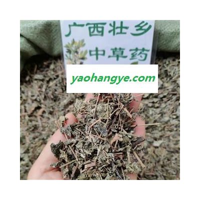 廣西壯鄉(xiāng)中草藥 野生 藤茶 茅巖莓茶 巖莓茶 長壽藤 端午茶 產(chǎn)地 廣西柳州