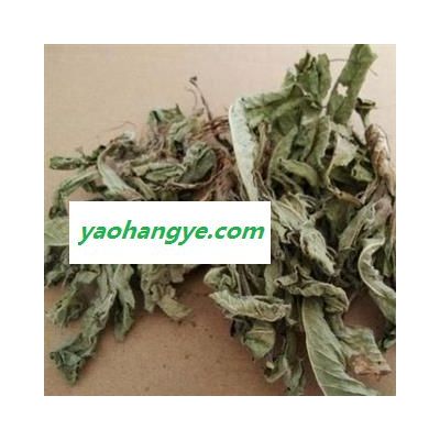 地膽草 丁茄夫 地苦膽 地膽頭 苦地膽 中藥材批發(fā) 麗麗藥業(yè)