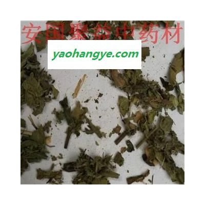 小薊別名刺兒菜，小薊水洗統(tǒng)貨，產(chǎn)地河北