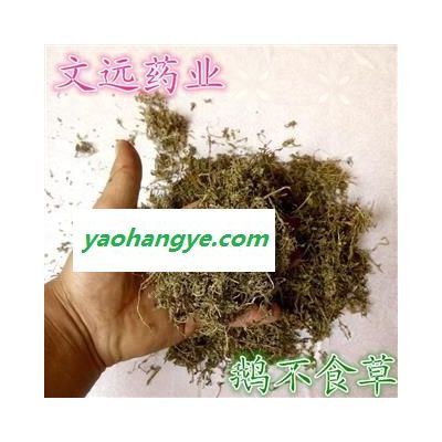 鵝不食草 統(tǒng)裝 鵝不食 產(chǎn)地 河南省