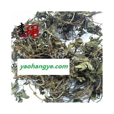 【99包郵】肺筋草 統貨(1kg) 四川產 肺心草 肺金草