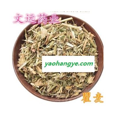 瞿麥 干凈過篩子  瞿麥 切片 產(chǎn)地 河南省