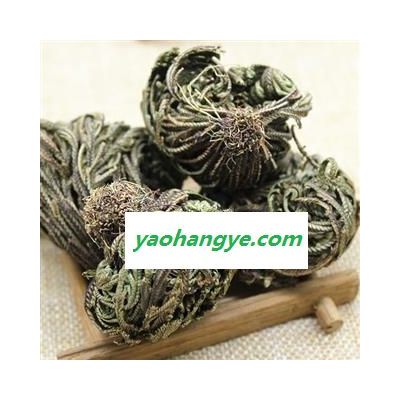 卷柏正品保證質(zhì)量 中藥材批發(fā) 麗麗藥業(yè)