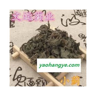 小薊 大片 產(chǎn)地 河南省