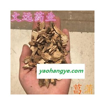 水菖蒲 選片 菖蒲 產(chǎn)地 河南省