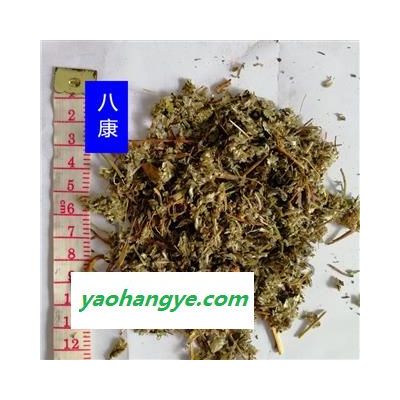 翻白草 01統