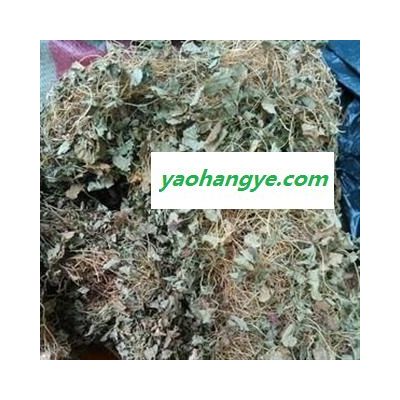 吉康藥業(yè)馬蹄金 金精草黃膽草 小金錢草螺 丕草 小馬蹄草 荷包草 落地金錢