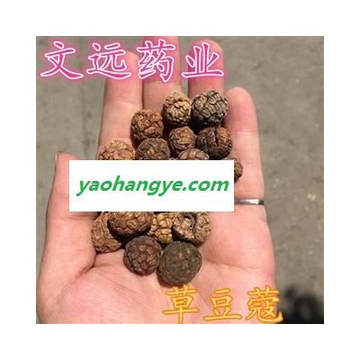 草豆蔻 草豆蔻 統 批發各種規格名貴藥材 產地 廣西壯族自治區