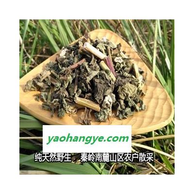 豨簽草 秦嶺野生稀簽草中藥豨簽草 秦嶺野生稀簽草中藥材豨簽草干貨純天然無硫豨簽草500g