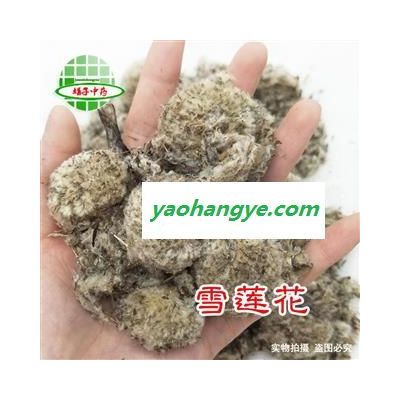 雪蓮花 西藏雪蓮花 散花 統(tǒng)貨 產(chǎn)地 西藏自治區(qū)  娟子中藥 買好藥找娟子