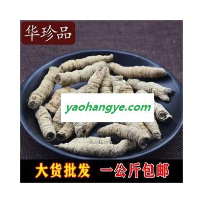 巴戟天 02 巴戟肉 中小肉 產地 廣東省肇慶市端州區