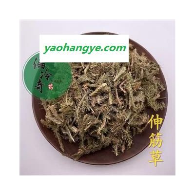 伸筋草 統(tǒng)貨 產(chǎn)地 廣西壯族自治區(qū)柳州市