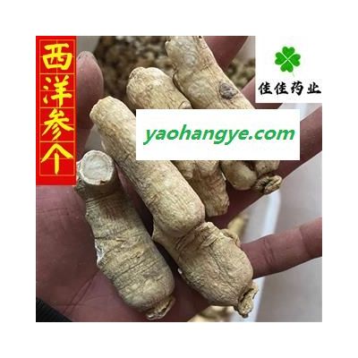 西洋參 西洋參個 短支選裝大支25g 軟質(zhì) 供應(yīng)各種中藥材 冷背貨 名貴藥材 產(chǎn)地 吉林省