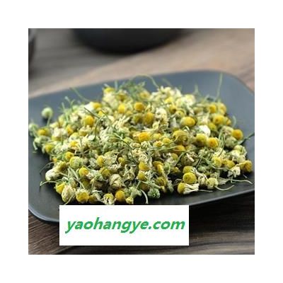 洋甘菊茶 精品貨500克 茶用洋甘菊正品保證質量7天無理由退貨退款 中藥材批發 麗麗藥業