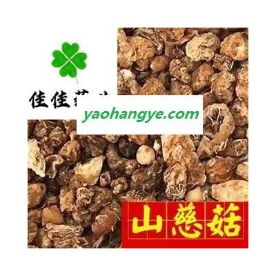 山慈菇 冰球子 正品 好統貨 產地直銷 供應各種中藥材 冷背貨 礦石等 產地 云南省