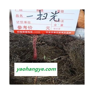 茅膏菜 選貨 產(chǎn)地 貴州省貴陽市市轄區(qū)