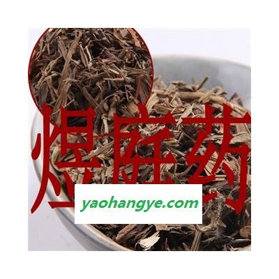 煜庭藥業 吉祥草 觀音草 玉帶草 正品