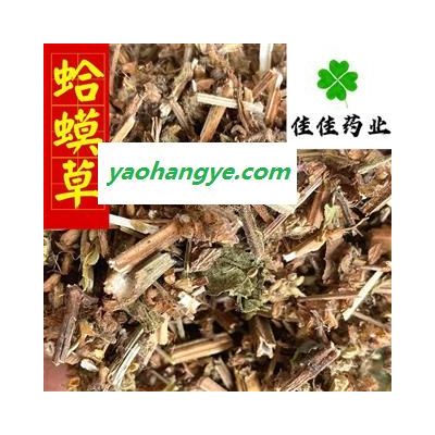 蛤蟆草 蛤蟆草 統貨 產地直銷 供應各種中藥材 產地 山東省