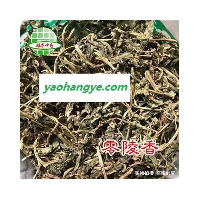 靈香草 靈香草 產(chǎn)地 廣西壯族自治區(qū) 買好藥找娟子