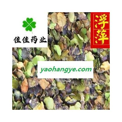 浮萍草 青浮萍統(tǒng)貨 青萍 質(zhì)量好 供應各種中藥材 中草藥 產(chǎn)地 山東省