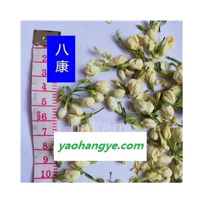 茉莉花 01統(tǒng)