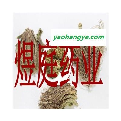 煜庭藥業(yè) 卷柏 九死還魂草、石柏、巖柏草、黃疸卷柏